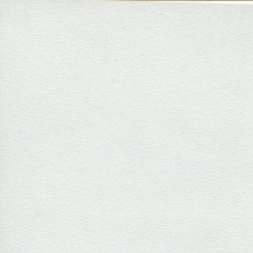Столешница (ДСП,R-1,3000,600,38,10,гл) белый глянец